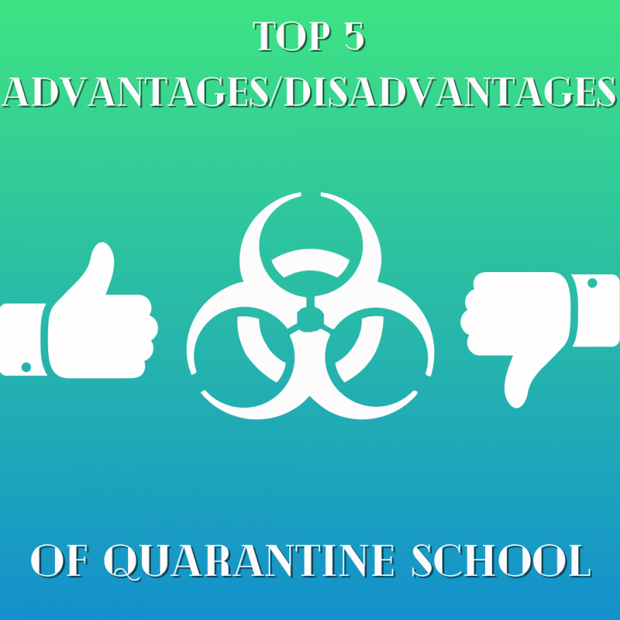 Top 5 Advantages and Disadvantages of Quarantine School