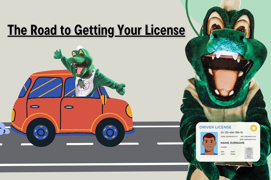 The Road to Getting Your License