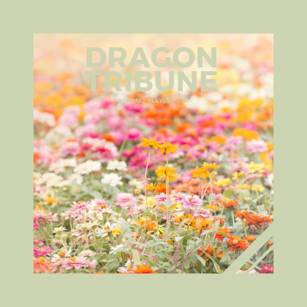 Dragon Tribune Spring Playlist